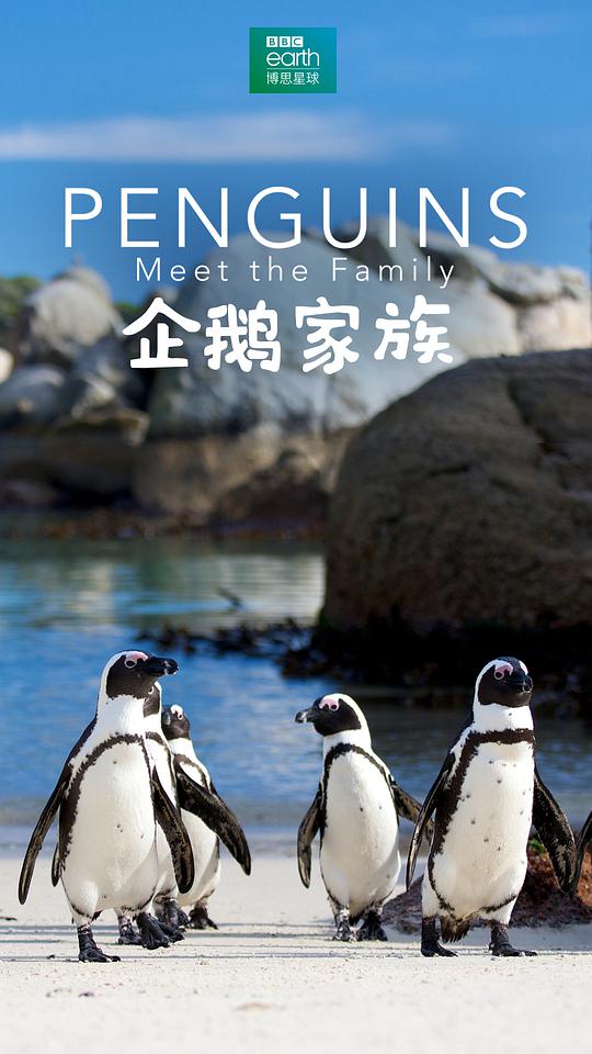 海报背景